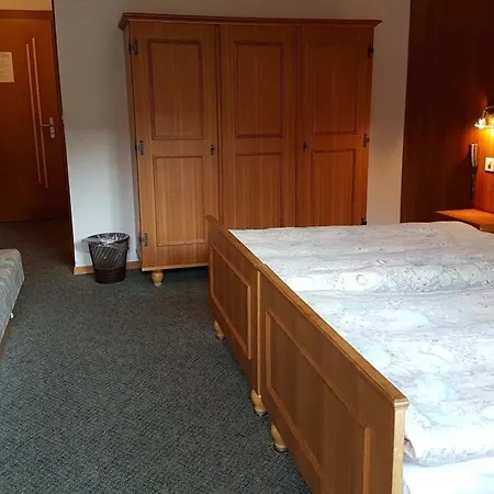 Hotel Restaurant Krone 3* Саас-Грунд